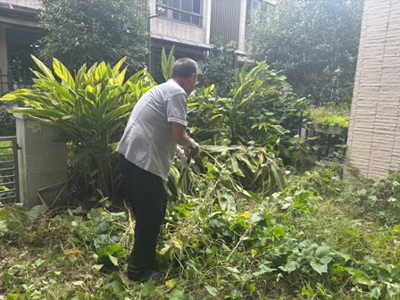 1759133132902751.jpg IMG_2671.JPG